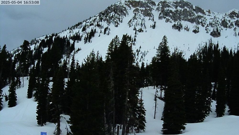 Alpine Apron