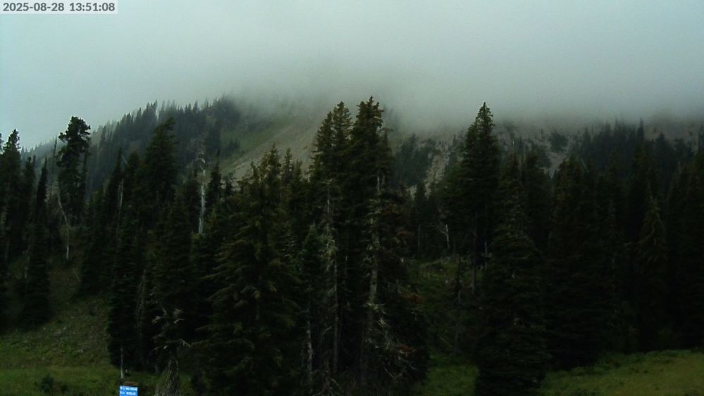 Alpine Apron
