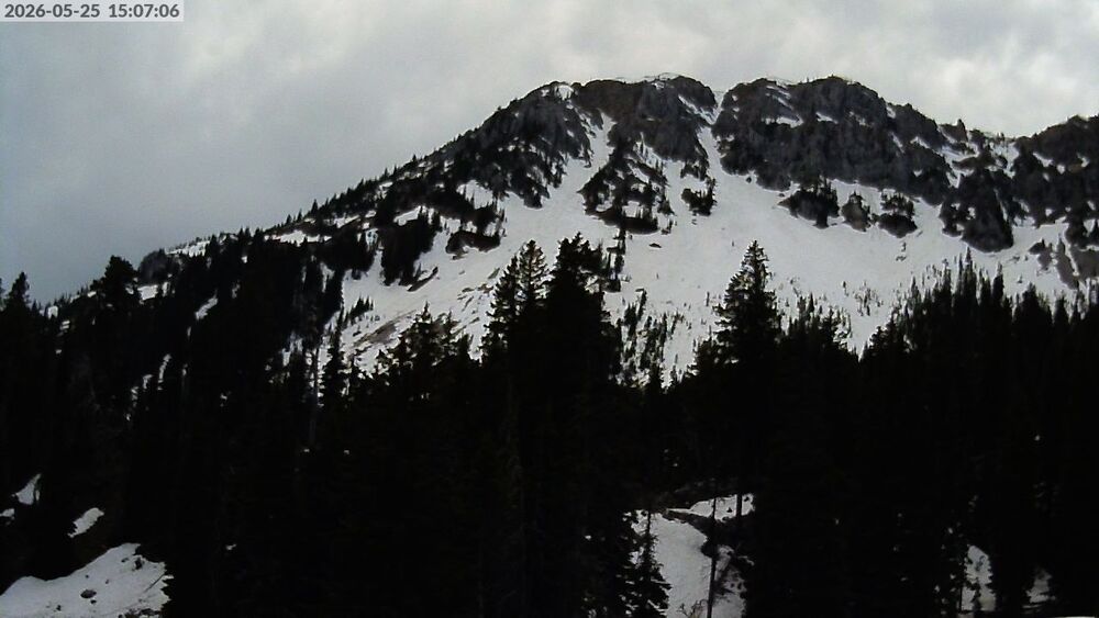 Alpine Apron