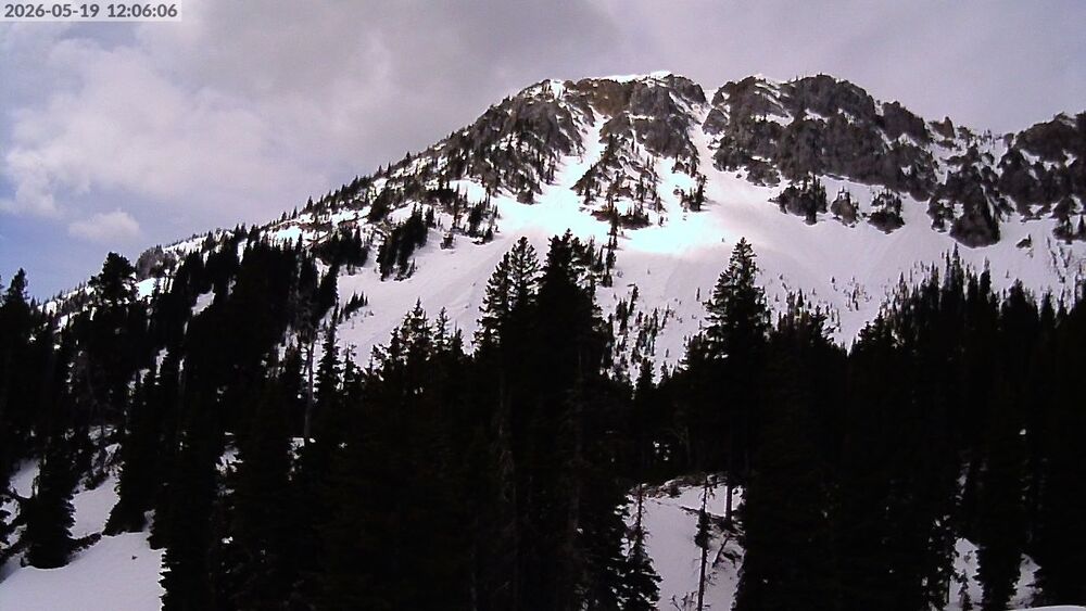 Alpine Apron