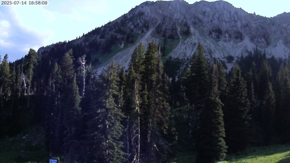 Alpine Apron