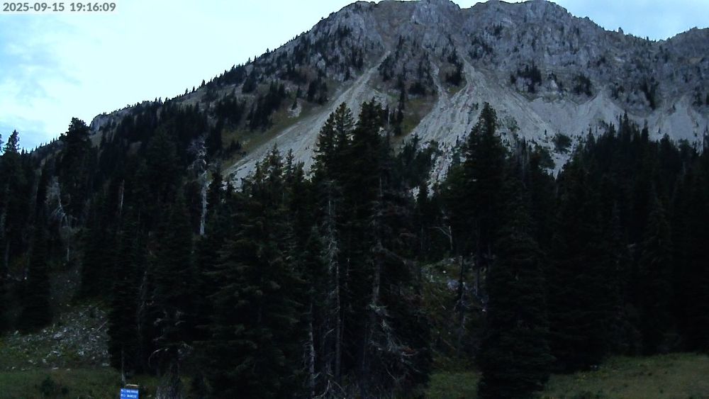 Alpine Apron