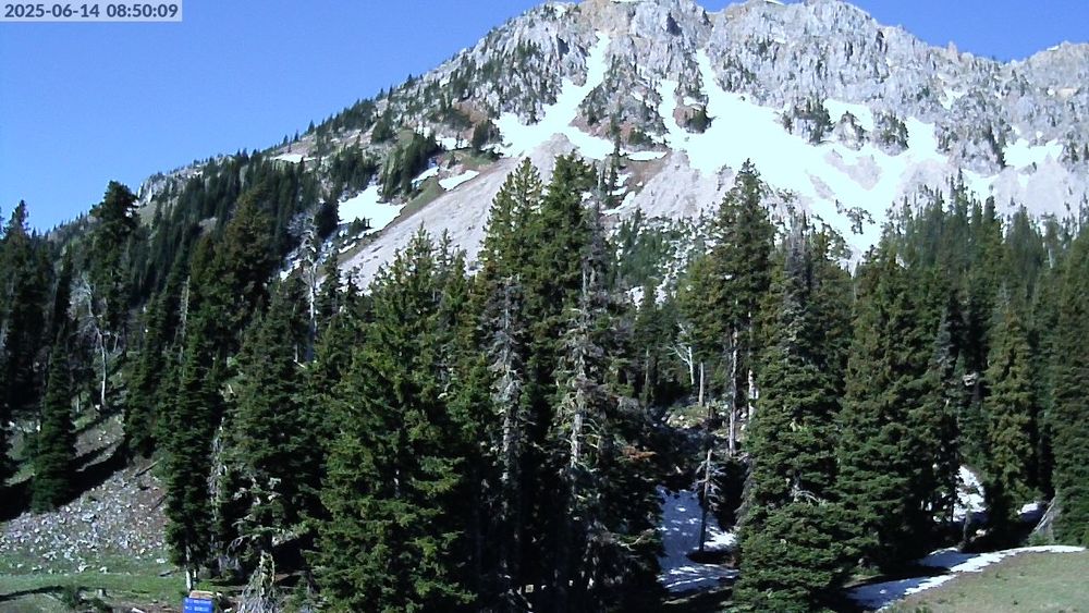Alpine Apron