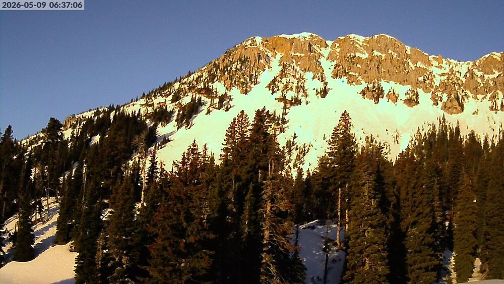 Alpine Apron