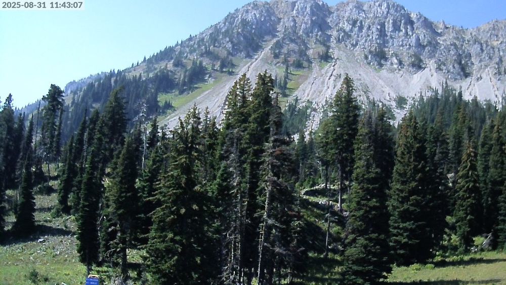 Alpine Apron
