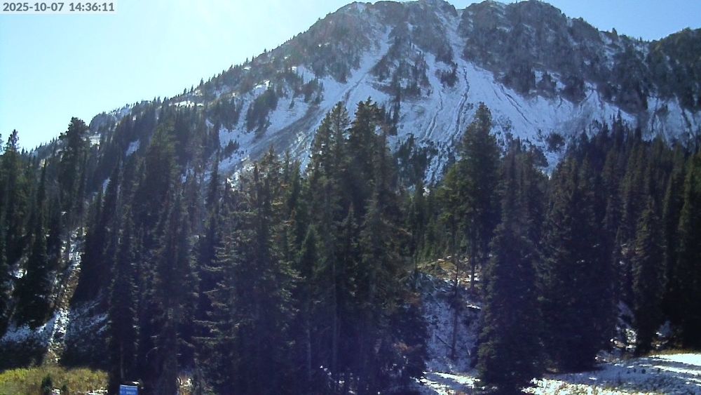 Alpine Apron